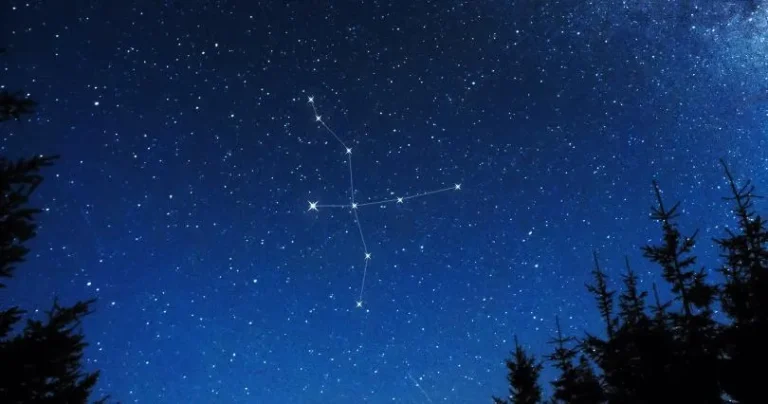 Cygnus — сузір’я Лебедя, що летить Чумацьким Шляхом