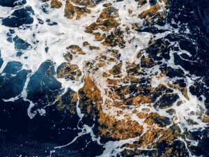Де знаходиться Саргасове море: унікальний регіон Атлантики без земних берегів