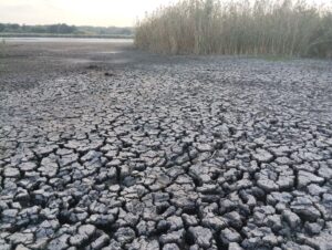 Висохле дно малої річки з тріщинами через кліматичну загрозу на півдні України