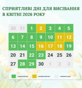 Коли сіяти кріп: повний гід для щедрого врожаю зелені