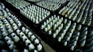 Ряди артилерійських снарядів у сховищі боєприпасів Укроборонпрому