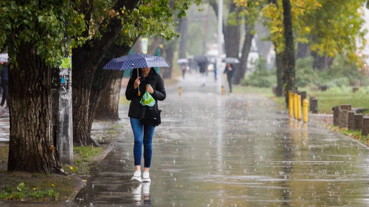 Жінка з парасолькою йде під дощем на алеї в дощові вихідні